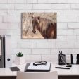 Assateague Horse Portrait  by Lori Deiter, Canvas Wall Art For Discount