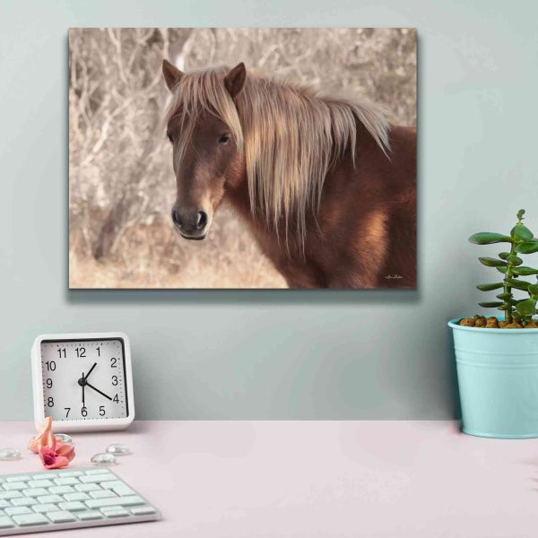 Assateague Horse Portrait  by Lori Deiter, Canvas Wall Art For Discount