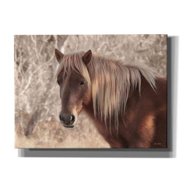 Assateague Horse Portrait  by Lori Deiter, Canvas Wall Art For Discount