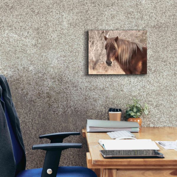 Assateague Horse Portrait  by Lori Deiter, Canvas Wall Art For Discount