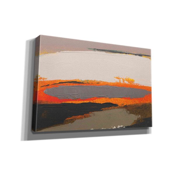 Ceide Study I  by Grainne Dowling, Canvas Wall Art Discount