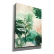 Nature Story I  by Laura Horn, Canvas Wall Art Sale