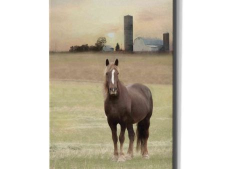 Jackson Horse  by Lori Deiter, Canvas Wall Art For Discount