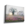 Summer Sunrise  by Lori Deiter, Canvas Wall Art Cheap