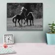 Black & White Assateague Horses  by Lori Deiter, Canvas Wall Art Supply