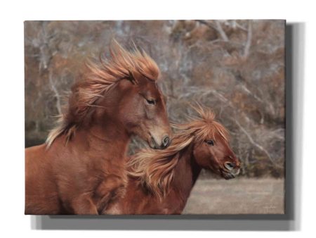 Assateague Horses II  by Lori Deiter, Canvas Wall Art For Sale