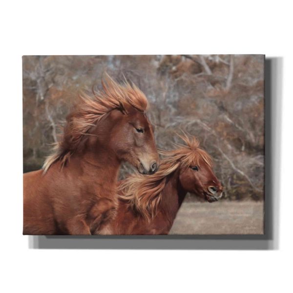 Assateague Horses II  by Lori Deiter, Canvas Wall Art For Sale