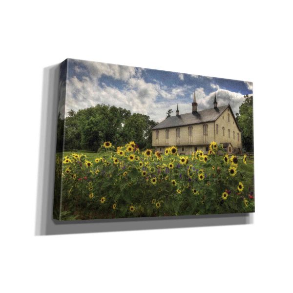 Sunflower Garden  by Lori Deiter, Canvas Wall Art Sale