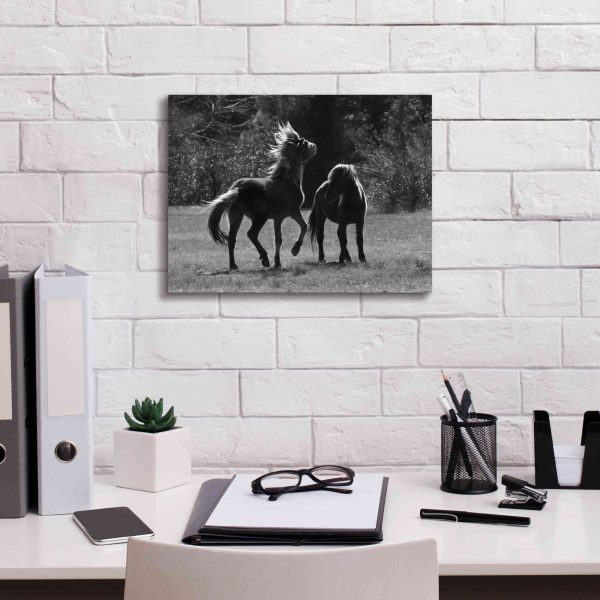 Black & White Assateague Horses  by Lori Deiter, Canvas Wall Art Supply