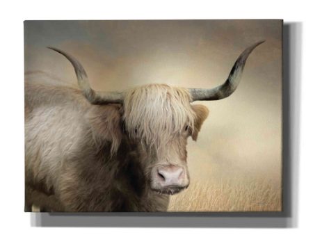 Highland Cow in Golden Grass  by Lori Deiter, Canvas Wall Art Hot on Sale