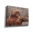 Assateague Horses II  by Lori Deiter, Canvas Wall Art For Sale