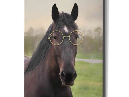 Horse with Round Glasses  by Lori Deiter, Canvas Wall Art on Sale