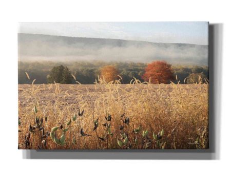 Autumn Shades  by Lori Deiter, Canvas Wall Art Online Hot Sale