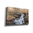 Waterfall Steps at Pigeon Run  by Lori Deiter, Canvas Wall Art Online Sale