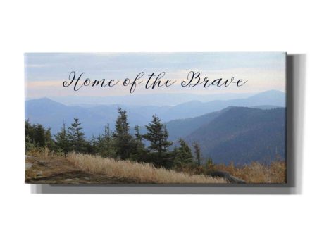 Home of the Brave  by Lori Deiter, Canvas Wall Art For Sale