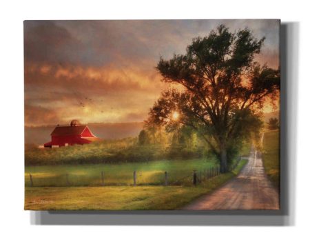 Country Lane Sunset  by Lori Deiter, Canvas Wall Art Online Hot Sale