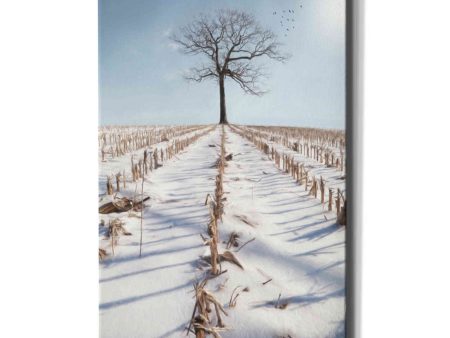 Winter Boughs  by Lori Deiter, Canvas Wall Art Supply