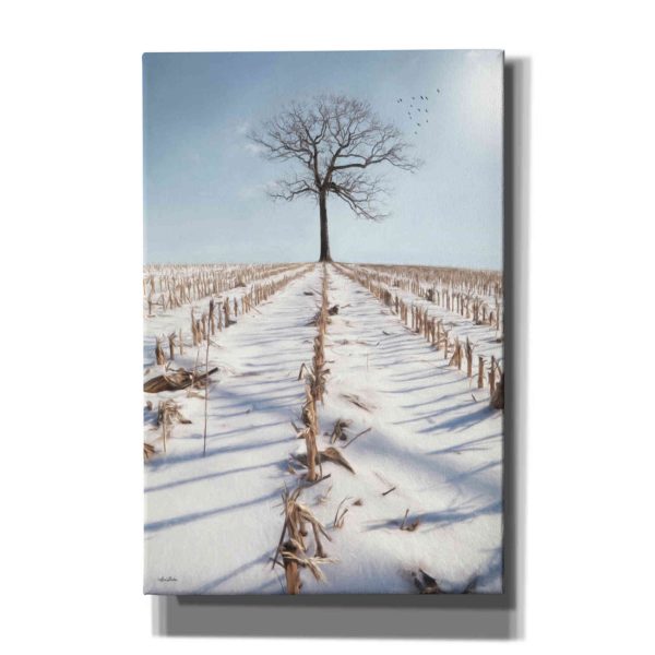 Winter Boughs  by Lori Deiter, Canvas Wall Art Supply