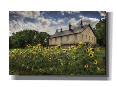 Sunflower Garden  by Lori Deiter, Canvas Wall Art Sale