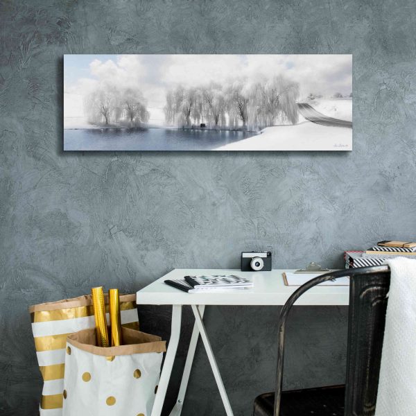 Winter Willow  by Lori Deiter, Canvas Wall Art Online Sale