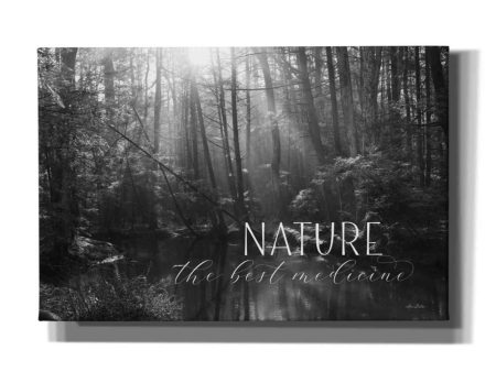 Nature - The Best Medicine  by Lori Deiter, Canvas Wall Art Online