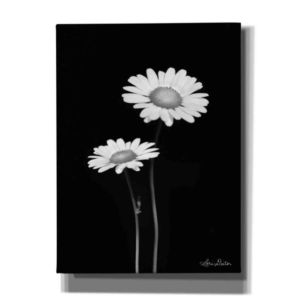 Pair of Daisies  by Lori Deiter, Canvas Wall Art For Cheap