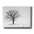 Bare  by Lori Deiter, Canvas Wall Art Discount