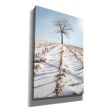 Winter Boughs  by Lori Deiter, Canvas Wall Art Supply