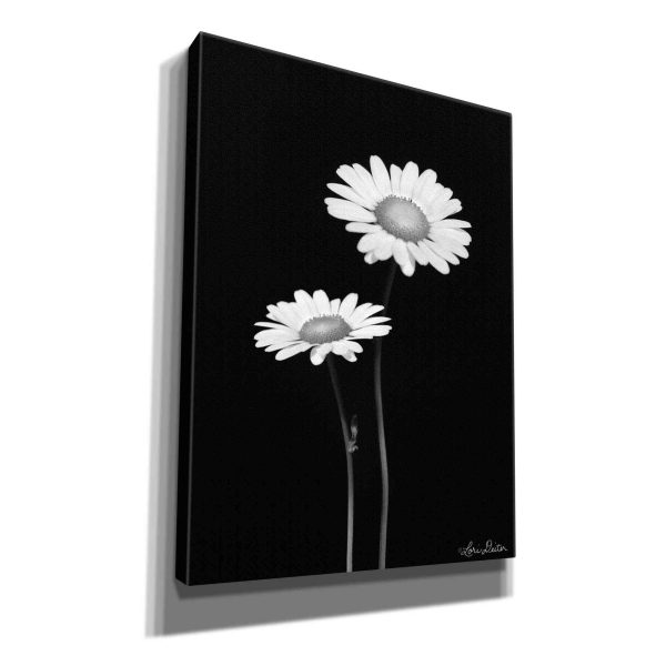 Pair of Daisies  by Lori Deiter, Canvas Wall Art For Cheap