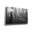 Calm Yourself  by Lori Deiter, Canvas Wall Art on Sale