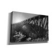 Sunrise at Letchworth Black & White  by Lori Deiter, Canvas Wall Art Sale