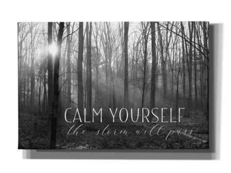 Calm Yourself  by Lori Deiter, Canvas Wall Art on Sale