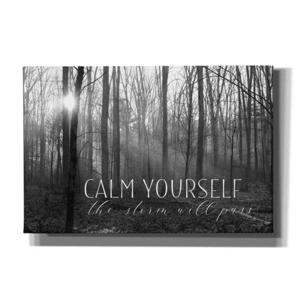 Calm Yourself  by Lori Deiter, Canvas Wall Art on Sale