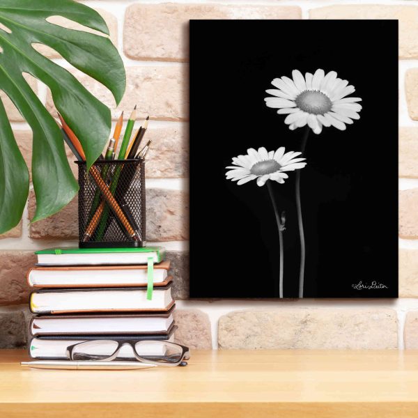 Pair of Daisies  by Lori Deiter, Canvas Wall Art For Cheap