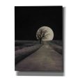 Moonlit Country Road  by Lori Deiter, Canvas Wall Art Online Sale