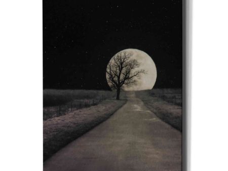 Moonlit Country Road  by Lori Deiter, Canvas Wall Art Online Sale