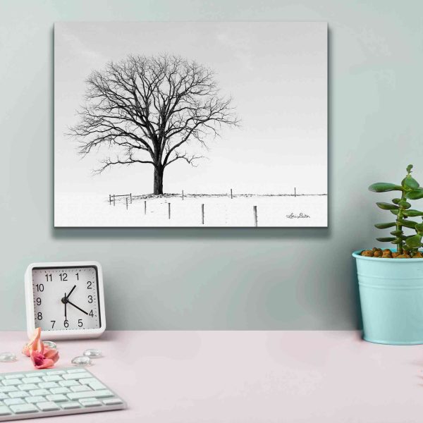 Bare  by Lori Deiter, Canvas Wall Art Discount