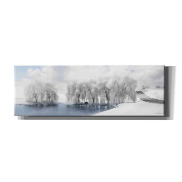 Winter Willow  by Lori Deiter, Canvas Wall Art Online Sale