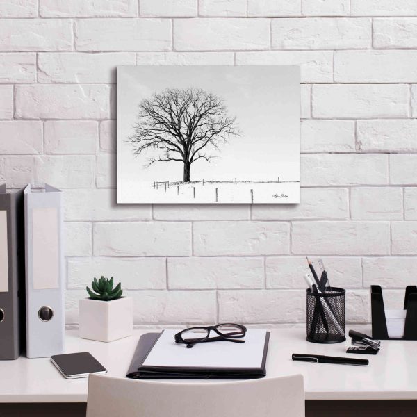 Bare  by Lori Deiter, Canvas Wall Art Discount