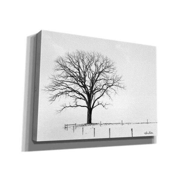 Bare  by Lori Deiter, Canvas Wall Art Discount