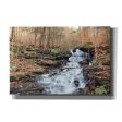 Waterfall Steps at Pigeon Run  by Lori Deiter, Canvas Wall Art Online Sale