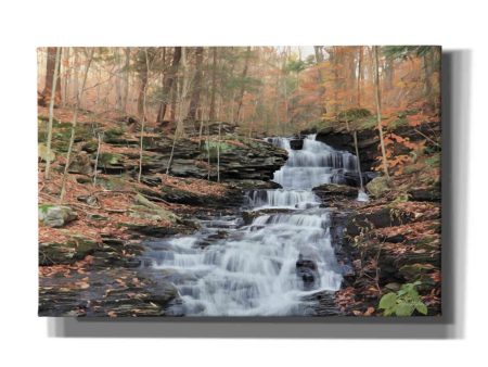 Waterfall Steps at Pigeon Run  by Lori Deiter, Canvas Wall Art Online Sale