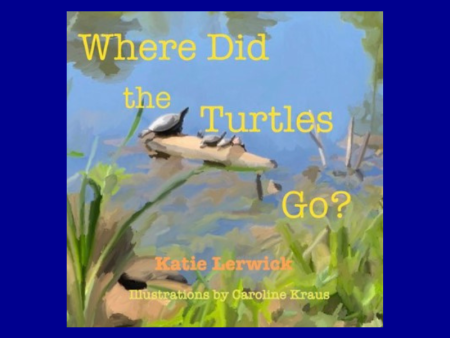 Where Did the Turtles Go? by Katie Lerwick Fashion