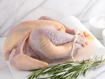 Pintade Fermiere Whole Guinea Hen (Case of 2) For Discount