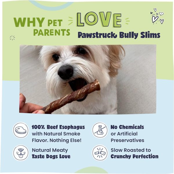 5  Jr. Bully Treat Sticks Discount