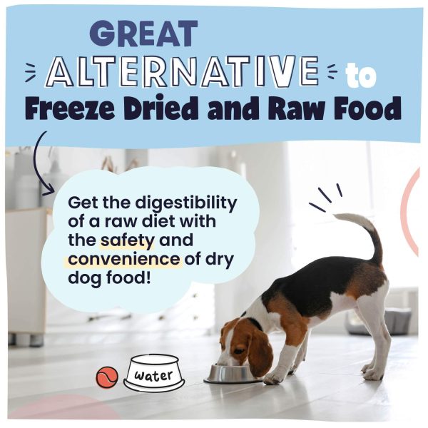 Air Dried Dog Food - Trial Size Variety Pack Sale