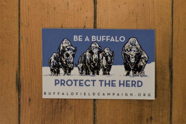 Be a Buffalo Sticker - 25th Anniversary   Protect the Herd Online