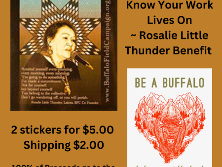 Rosalie Little Thunder Benefit - 2 Stickers for $5 Supply