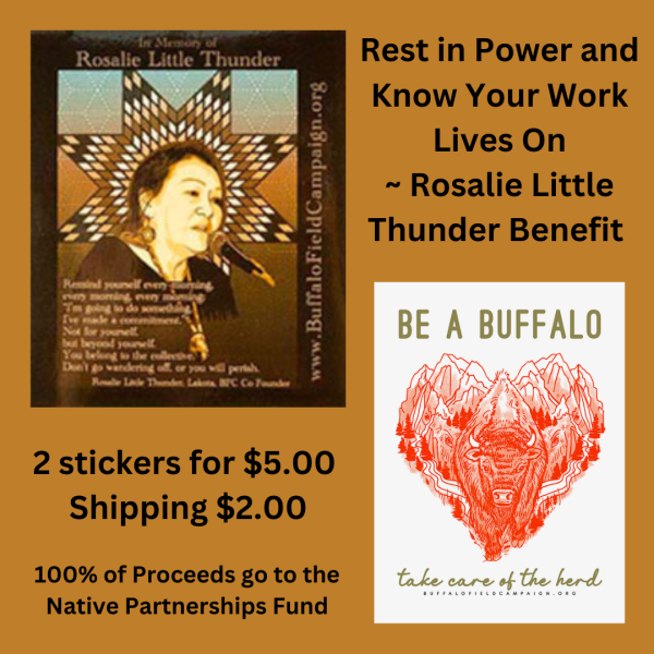 Rosalie Little Thunder Benefit - 2 Stickers for $5 Supply