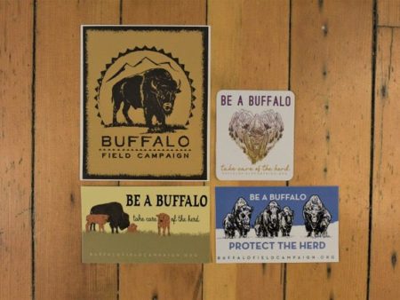 25th Anniversary Variety Pack: Free-Roaming Buffalo Cheap